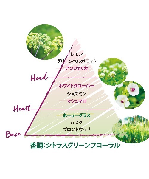 エルバブランシュ オードトワレ 50mL（香水）｜L'OCCITANE