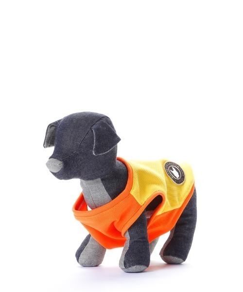 CRYSTAL BALL(クリスタルボール)の「Striking Color Doggy Wear/ドッグアパレル/ペットウェア(ペットウェア・キッズ・オレンジ系その他/イエロー系その他/イエロー系その他2/ブルー系その他/オレンジ系その他2・MEDIUM/FREE)」の3枚目の写真