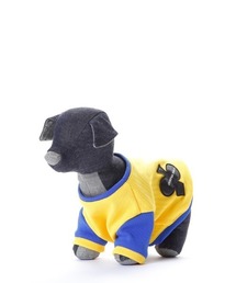 CRYSTAL BALL（クリスタルボール）の「Striking Color Doggy Wear/ドッグアパレル/ペットウェア（ペットウェア）」