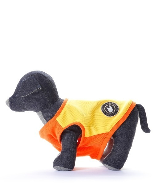 CRYSTAL BALL(クリスタルボール)の「Striking Color Doggy Wear/ドッグアパレル/ペットウェア(ペットウェア・キッズ・オレンジ系その他/イエロー系その他/イエロー系その他2/ブルー系その他/オレンジ系その他2・MEDIUM/FREE)」の14枚目の写真