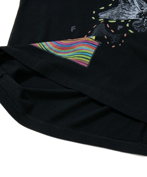 GOLDFISH BIG TEE（Tシャツ/カットソー）｜go slow caravan（ゴースローキャラバン）