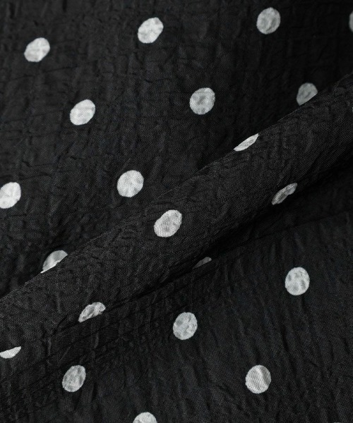 F i.n.t（フィント）の「リップルドット柄クレリックワンピース/F&A/fint（ワンピース・レディース・ライトグレー/ブラック×ホワイト・FREE）」の16枚目の写真