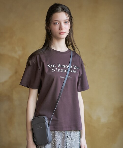 DRESSTERIOR(ドレステリア)の「【接触冷感/抗菌防臭/消臭】アイスクリアコットンフレンチロゴT(Tシャツ/カットソー・レディース・ホワイト/ブラウン系その他/サックスブルー・38/36/34)」の16枚目の写真
