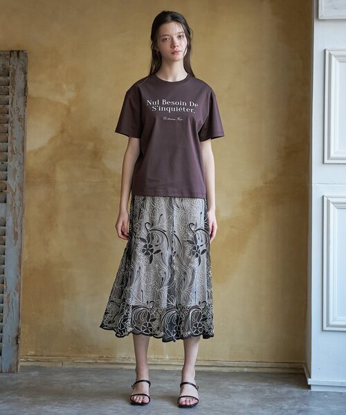 DRESSTERIOR(ドレステリア)の「【接触冷感/抗菌防臭/消臭】アイスクリアコットンフレンチロゴT(Tシャツ/カットソー・レディース・ホワイト/ブラウン系その他/サックスブルー・38/36/34)」の14枚目の写真