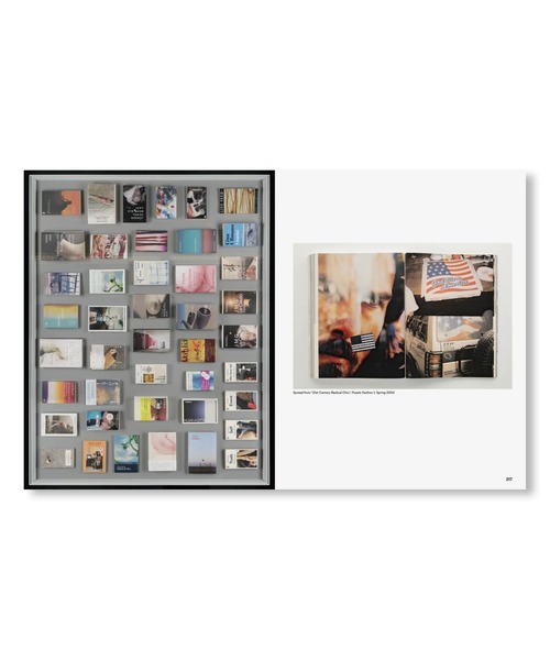 VILLA BOOKS（ヴィラ ブックス）の「NOTHING COULD HAVE PREPARED US - EVERYTHING COULD HAVE PREPARED US by Wolfgang Tillmans（本・メンズ・その他・FREE）」の12枚目の写真