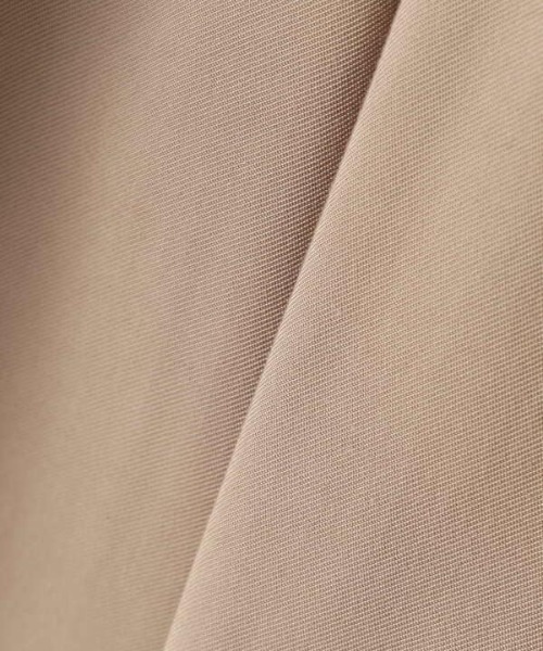 N.（N. Natural Beauty Basic）（エヌエヌナチュラルビューティーベーシック）の「２タックイージーパンツ（その他パンツ・レディース・ベージュ/パープル/グレー・MEDIUM）」の21枚目の写真