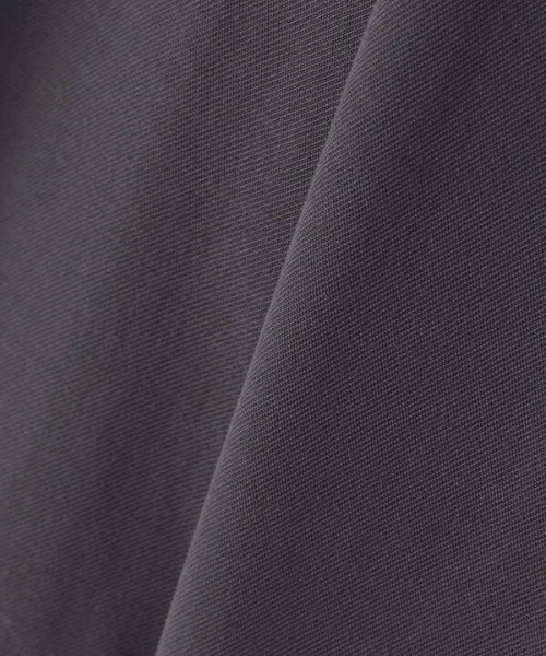 N.（N. Natural Beauty Basic）（エヌエヌナチュラルビューティーベーシック）の「２タックイージーパンツ（その他パンツ・レディース・ベージュ/パープル/グレー・MEDIUM）」の18枚目の写真