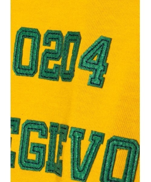 【REGIEVO】REGIEVOアップリケロゴ 大人のビッグシルエットTシャツ（Tシャツ/カットソー）｜REGIEVO（レジエボ）