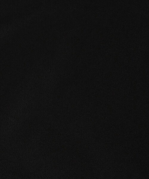 WOOLRICH（ウールリッチ）の「●WOOLRICH GTX MOUNTAIN PARKA ダウンジャケット（ダウンジャケット/コート・メンズ・ブラック・S/M/L）」の17枚目の写真