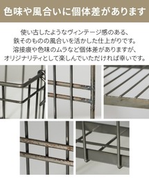 GEORGE'S（ジョージズ）の「WEB限定 COLLEND ワイヤーボタニカルラック