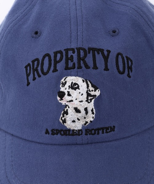 WC（ダブル シー）の「DOGキャップ（キャップ・レディース・ブラック/ベージュ/ブルー・FREE）」の6枚目の写真