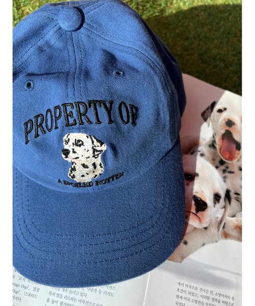 WC（ダブル シー）の「DOGキャップ（キャップ・レディース・ブラック/ベージュ/ブルー・FREE）」の17枚目の写真