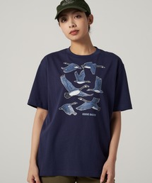 Eddie Bauer｜エディーバウアー（レディース）のTシャツ