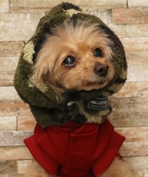 KRIFF MAYER(NtC[)́yo[VuoNozDOGjW(ybgEFA)