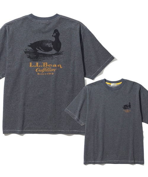 セール】【JAPAN EDITION】モリル・ショートスリーブ・アニマル