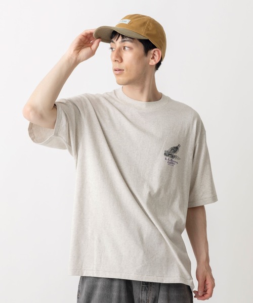 セール】【JAPAN EDITION】モリル・ショートスリーブ・アニマル