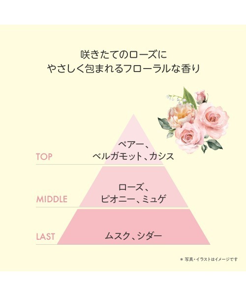 TBC（ティービーシー）の「【2種セット】薬用インバスボディミルク（ボディケア/ボディクリーム・レディース・その他・FREE）」の3枚目の写真