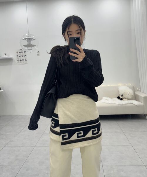 Majournee(マジョネ)の「SHEER V-NECK KNIT_BLACK(ニット/セーター・レディース・その他・ONE SIZE)」の2枚目の写真
