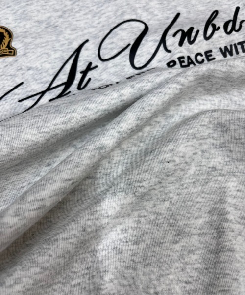 NANEA(ナネア)の「レース切替 Vネック カレッジロゴTシャツ(Tシャツ/カットソー・レディース・ライトグレー/ネイビー・MEDIUM)」の4枚目の写真