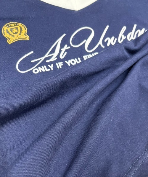 NANEA(ナネア)の「レース切替 Vネック カレッジロゴTシャツ(Tシャツ/カットソー・レディース・ライトグレー/ネイビー・MEDIUM)」の3枚目の写真