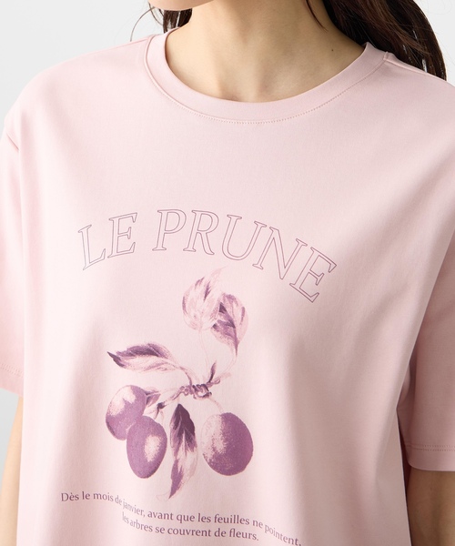 Petit Honfleur(プチオンフルール)の「フルーツプリントTシャツ【オーガニックコットンブレンド・接触冷感・UVカット】(Tシャツ/カットソー・レディース・ピンク/ネイビー/グレー・M/L)」の17枚目の写真