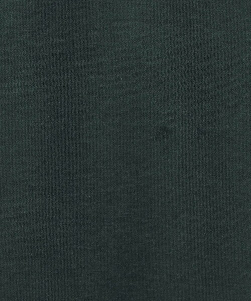 Grand PARK(グランドパーク)の「DISCUS別注 COOLMAXダンボールTシャツ(Tシャツ/カットソー・メンズ・グリーン/ブラック/ホワイト・M/L/XL)」の20枚目の写真