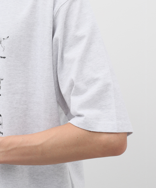 DOG ASSORTED Tシャツ（Tシャツ/カットソー）｜B.C STOCK（ベー