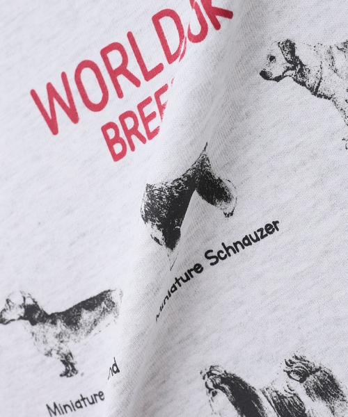 モコゾウ　Tシャツ　B.C STOCK ポメラニアン　シーズー ce016-67936-02b.jpg?basethum=225