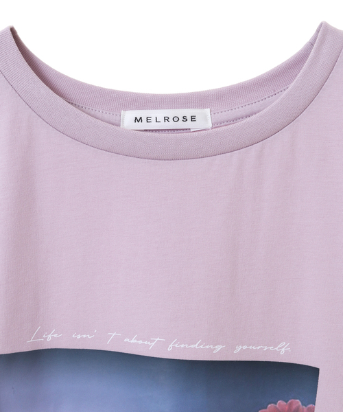 SOFFITTO（ソフィット）の「USAコットン天竺接触冷感転写プリントTシャツ(取り扱い店舗限定)（Tシャツ/カットソー・レディース・グレイッシュベージュ/オフホワイト/ラベンダー/チャコールグレー・FREE）」の6枚目の写真