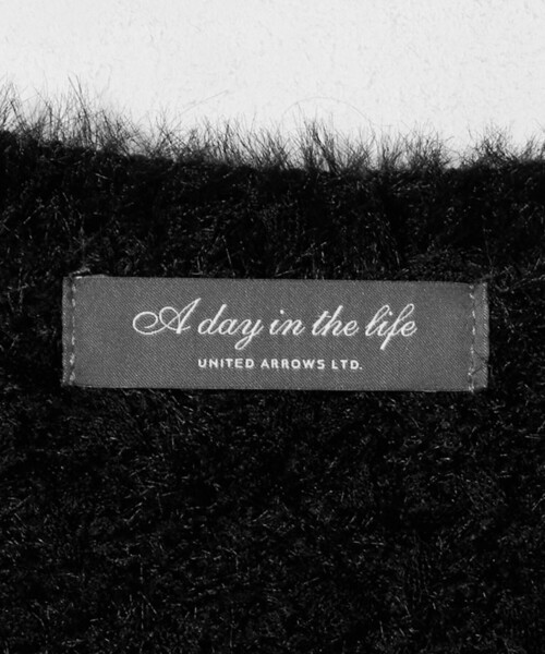 A DAY IN THE LIFE UNITED ARROWS(アデイインザライフユナイテッドアローズ)の「フェザー×チュール Vネックニット <A DAY IN THE LIFE>(ニット/セーター・レディース・オフホワイト/ブラック・FREE)」の17枚目の写真