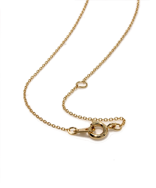 Another Edition（アナザーエディション）の「AE[EC]ラインモチーフNL（ネックレス・レディース・その他1/その他2/その他3/その他4/その他5・フリー）」の8枚目の写真