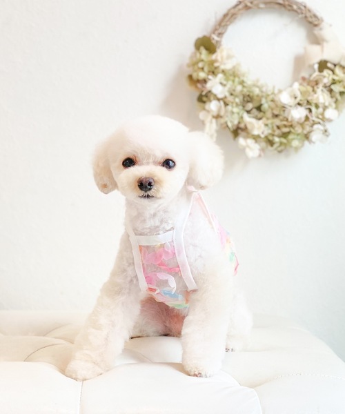最終お値引き♡アトリエgg フラワープリント犬服 2025年最新】アトリエggの人気アイテム - メルカリ
