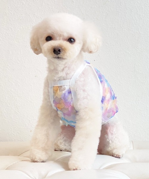 最終お値引き♡アトリエgg フラワープリント犬服 2025年最新】Atelier_G・Gの人気アイテム - メルカリ