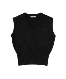ROIDESROIS（ロワデロワ）の「エッセンシャルVネックニットベスト（ブラック）（ベスト）」