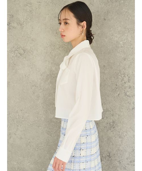 SNIDEL(スナイデル)の「バリエクロップドシャツ(シャツ/ブラウス・レディース・ストライプ/ホワイト/ピンク・F)」の8枚目の写真