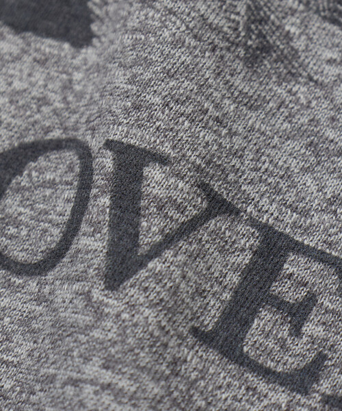 Alpha Industries（アルファインダストリーズ）の「Alpha Industries/アルファ インダストリーズ 別注 ARMY ベートーベン プリントTシャツ（Tシャツ/カットソー・メンズ・グレー・MEDIUM/LARGE/X-LARGE）」の6枚目の写真