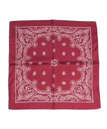 MOUSSY | SILK BANDANA SCARF(バンダナ/スカーフ)