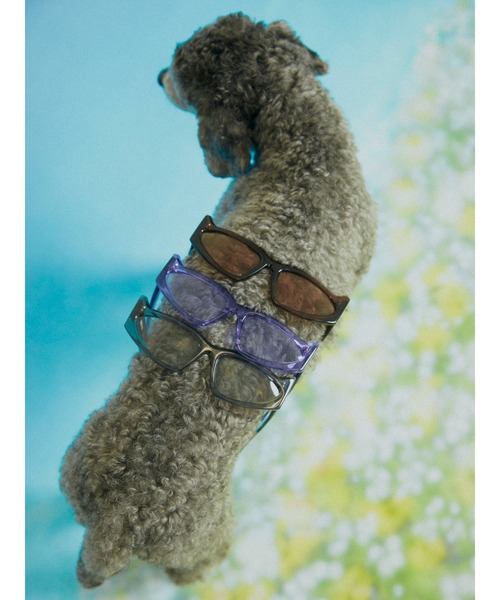 PAMEO POSE（パメオポーズ）の「【INARI】PUPPY SUNGLASS（サングラス・レディース・ブラック/ブラウン/パープル・FREE）」の8枚目の写真