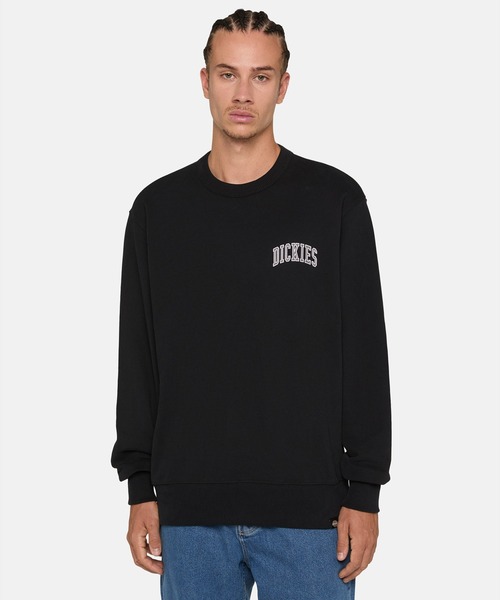 Dickies（ディッキーズ）の「フレンチテリー アイトキン チェスト スウェット リラックスフィット（スウェット・メンズ・ブラウン系その他/グリーン系その他/ブラック系その他・LARGE/X-LARGE/SMALL/MEDIUM/XX-LARGE）」の2枚目の写真