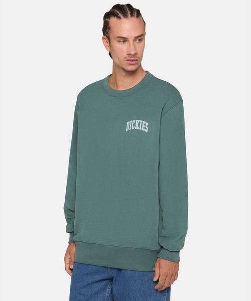 Dickies（ディッキーズ）の「フレンチテリー アイトキン チェスト スウェット リラックスフィット（スウェット・メンズ・ブラウン系その他/グリーン系その他/ブラック系その他・LARGE/X-LARGE/SMALL/MEDIUM/XX-LARGE）」の3枚目の写真