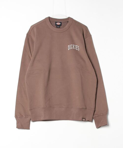 Dickies（ディッキーズ）の「フレンチテリー アイトキン チェスト スウェット リラックスフィット（スウェット・メンズ・ブラウン系その他/グリーン系その他/ブラック系その他・LARGE/X-LARGE/SMALL/MEDIUM/XX-LARGE）」の13枚目の写真