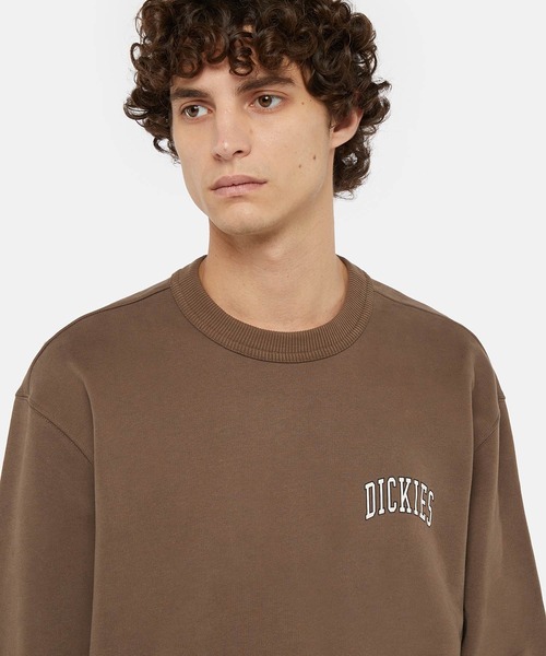 Dickies（ディッキーズ）の「フレンチテリー アイトキン チェスト スウェット リラックスフィット（スウェット・メンズ・ブラウン系その他/グリーン系その他/ブラック系その他・LARGE/X-LARGE/SMALL/MEDIUM/XX-LARGE）」の11枚目の写真