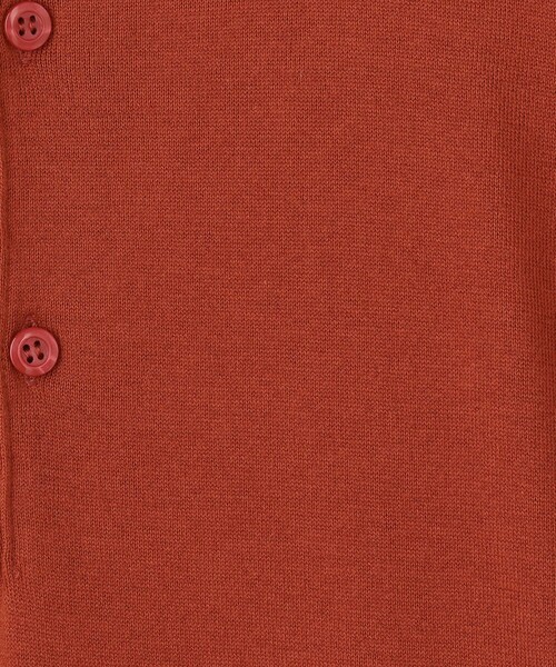 TOMORROWLAND (トゥモローランド)の「【別注】JOHN SMEDLEY コットン ポロカラーニット(ニット/セーター・メンズ・ライトブルー/グレイッシュベージュ/ブラック/ダークグリーン/レッド系その他/ネイビー・L/M/S)」の17枚目の写真