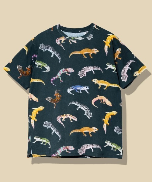 go slow caravan(ゴースローキャラバン)の「USA/C 総柄図鑑 TEE vol.7(Tシャツ/カットソー・メンズ・ネイビー/サックスブルー/ホワイト/ダークグリーン・MEDIUM/X-LARGE/LARGE)」の3枚目の写真