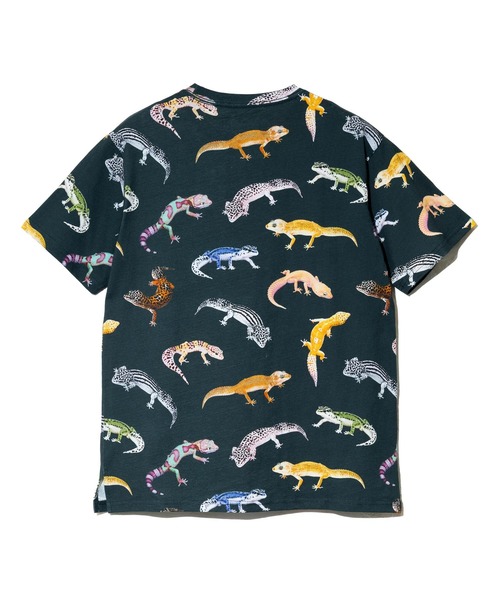 go slow caravan(ゴースローキャラバン)の「USA/C 総柄図鑑 TEE vol.7(Tシャツ/カットソー・メンズ・ネイビー/サックスブルー/ホワイト/ダークグリーン・MEDIUM/X-LARGE/LARGE)」の16枚目の写真