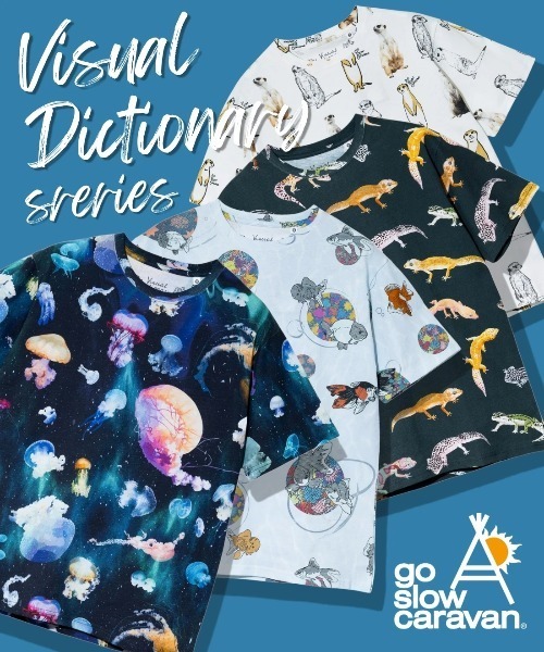 go slow caravan(ゴースローキャラバン)の「USA/C 総柄図鑑 TEE vol.7(Tシャツ/カットソー・メンズ・ネイビー/サックスブルー/ホワイト/ダークグリーン・MEDIUM/X-LARGE/LARGE)」の21枚目の写真