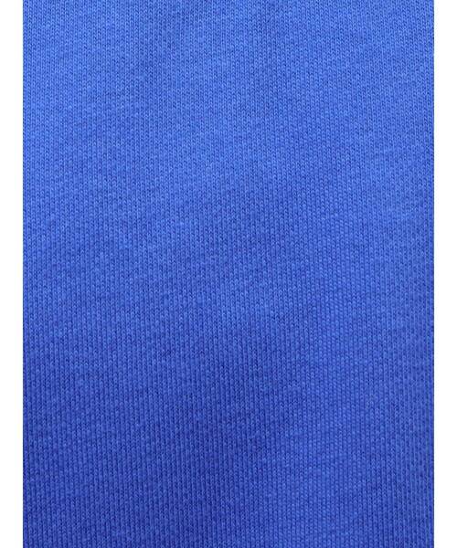 ELENDEEK（エレンディーク）の「ラグランタックカットソー（Tシャツ/カットソー・レディース・グレー/ブルー/アイボリー・FREE）」の16枚目の写真