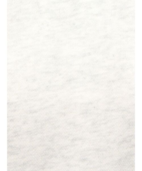 ELENDEEK（エレンディーク）の「ラグランタックカットソー（Tシャツ/カットソー・レディース・グレー/ブルー/アイボリー・FREE）」の17枚目の写真