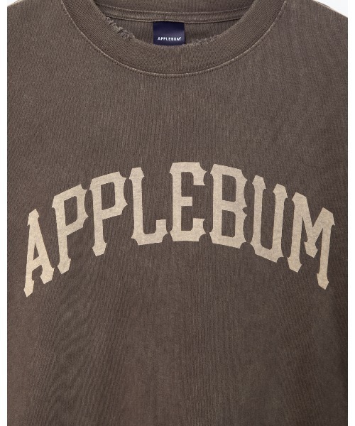 APPLEBUM（アップルバム）の「Damaged Short T-shirt（Tシャツ/カットソー・メンズ・ブラウン/ブラック・MEDIUM/LARGE/X-LARGE/XX-LARGE）」の14枚目の写真
