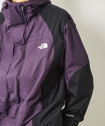 THE NORTH FACE｜ザノースフェイスのマウンテンパーカー（刺繍）通販